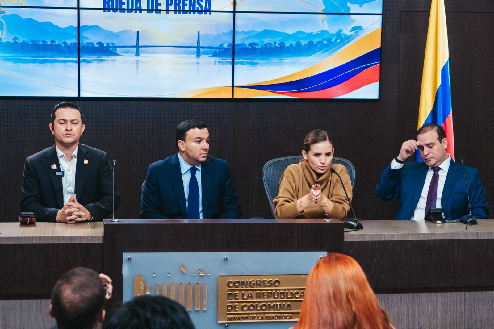 Comisión de la frontera con Venezuela