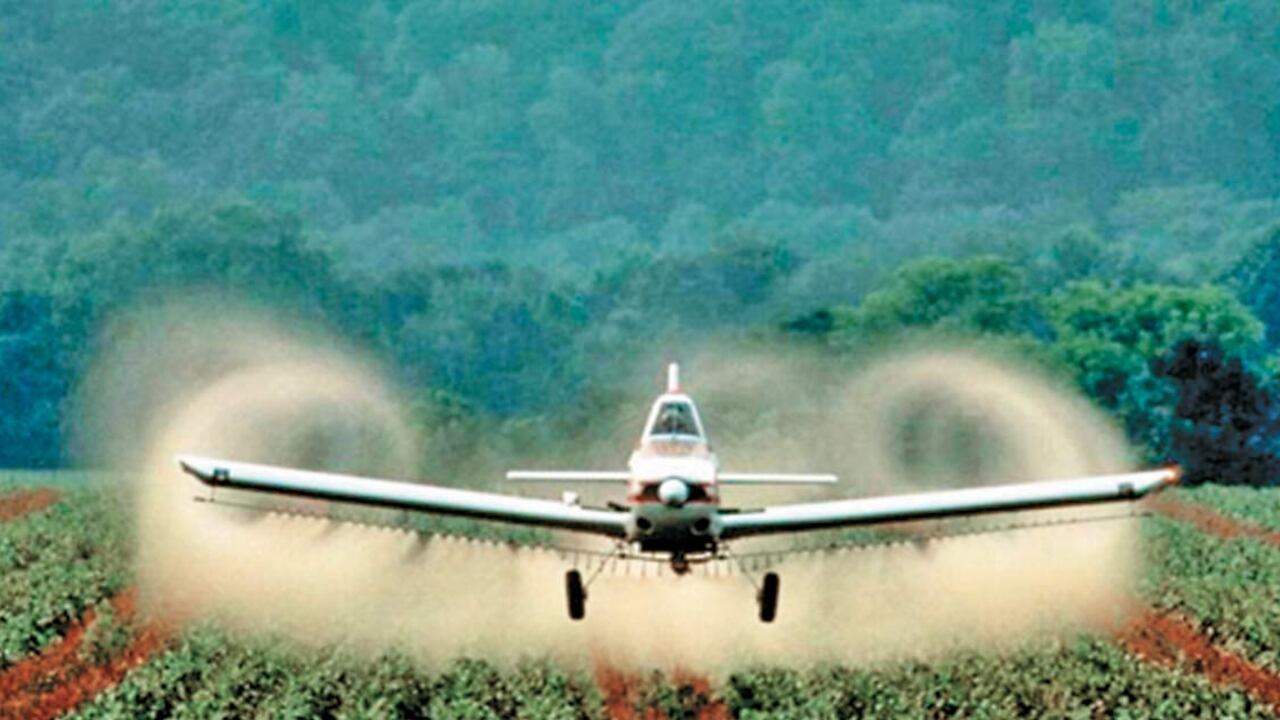 La BBC filtró el documento y con eso abrió una expectativa mundial sobre un cambio en el enfoque de las actuales políticas de drogas.