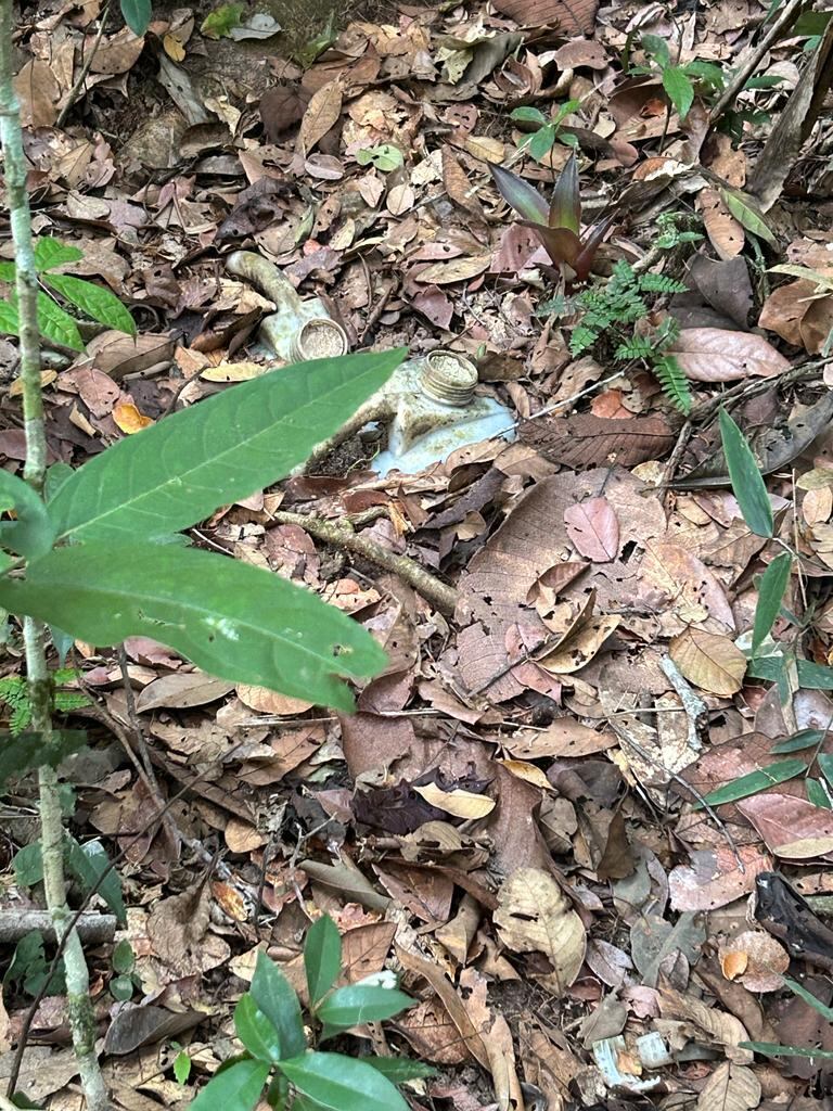 La Defensoría le solicitó a las autoridades judiciales establecer los responsables de este tipo de acciones, que, según señaló, constituyen infracciones al Derecho Internacional Humanitario (DIH).