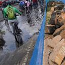 Tala de árboles Avenida 68