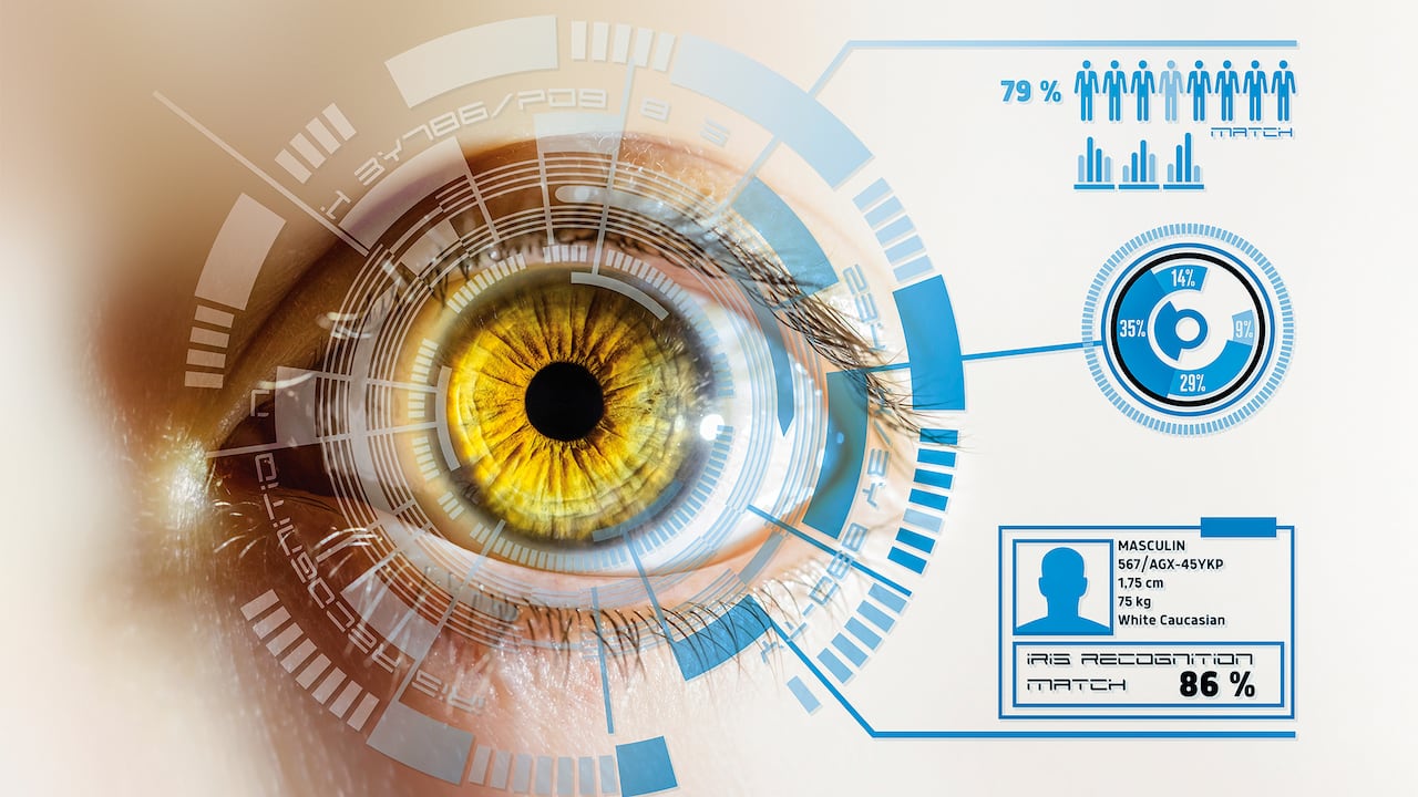 Especial Seguros, Seguros a la medida