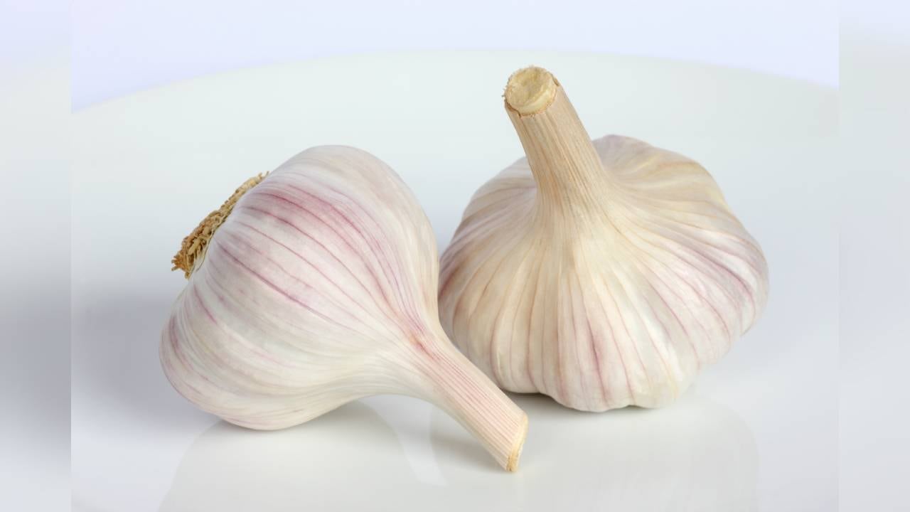 El ajo puede ayudar a bajar de peso siempre y cuando se acompañe de una dieta sana y ejercicio.