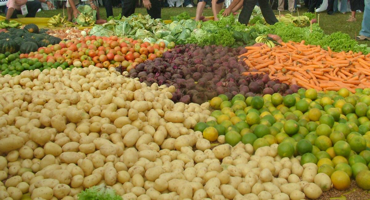 Una reforma constitucional busca implementar en Colombia el derecho fundamental a no tener hambre.