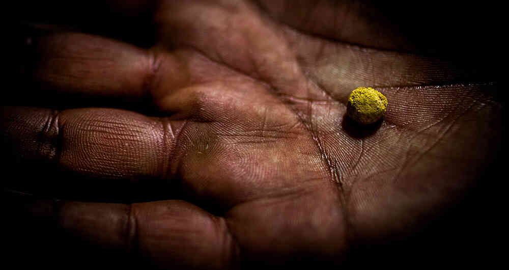 "La hecha vela por la seguridad de sus trabajadores y la regeneración del impacto a la tierra".