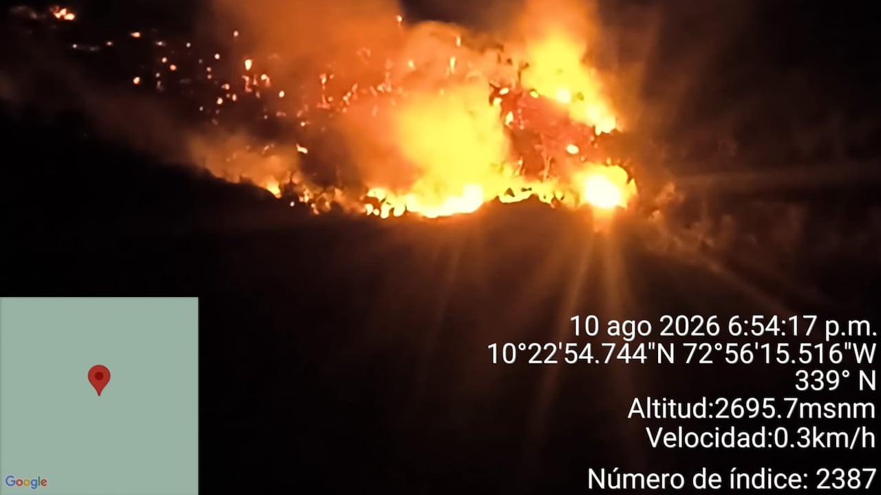 IUCN advierte por riesgo de incendios forestales ante sequía y altas temperaturas