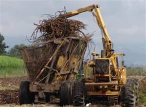La disponibilidad de tierra es el factor crucial para aumentar la oferta de bienes agrícolas.