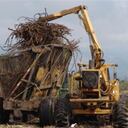 La disponibilidad de tierra es el factor crucial para aumentar la oferta de bienes agrícolas.