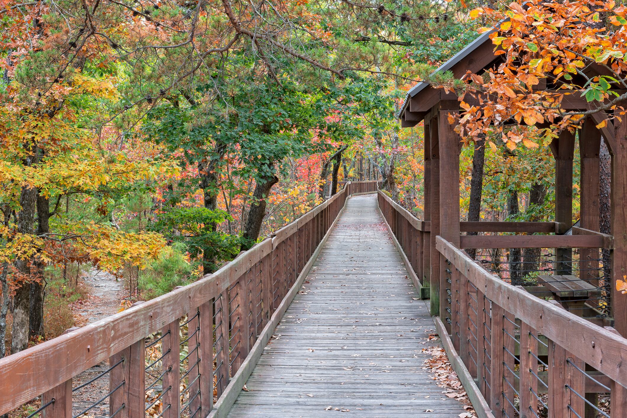La pasarela que sale al mirador de Bald Rock en el Parque Estatal Cheaha Mountain en Alabama