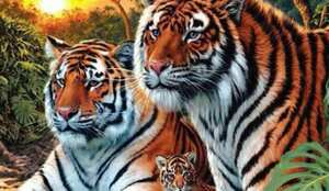 Tigres efecto visual