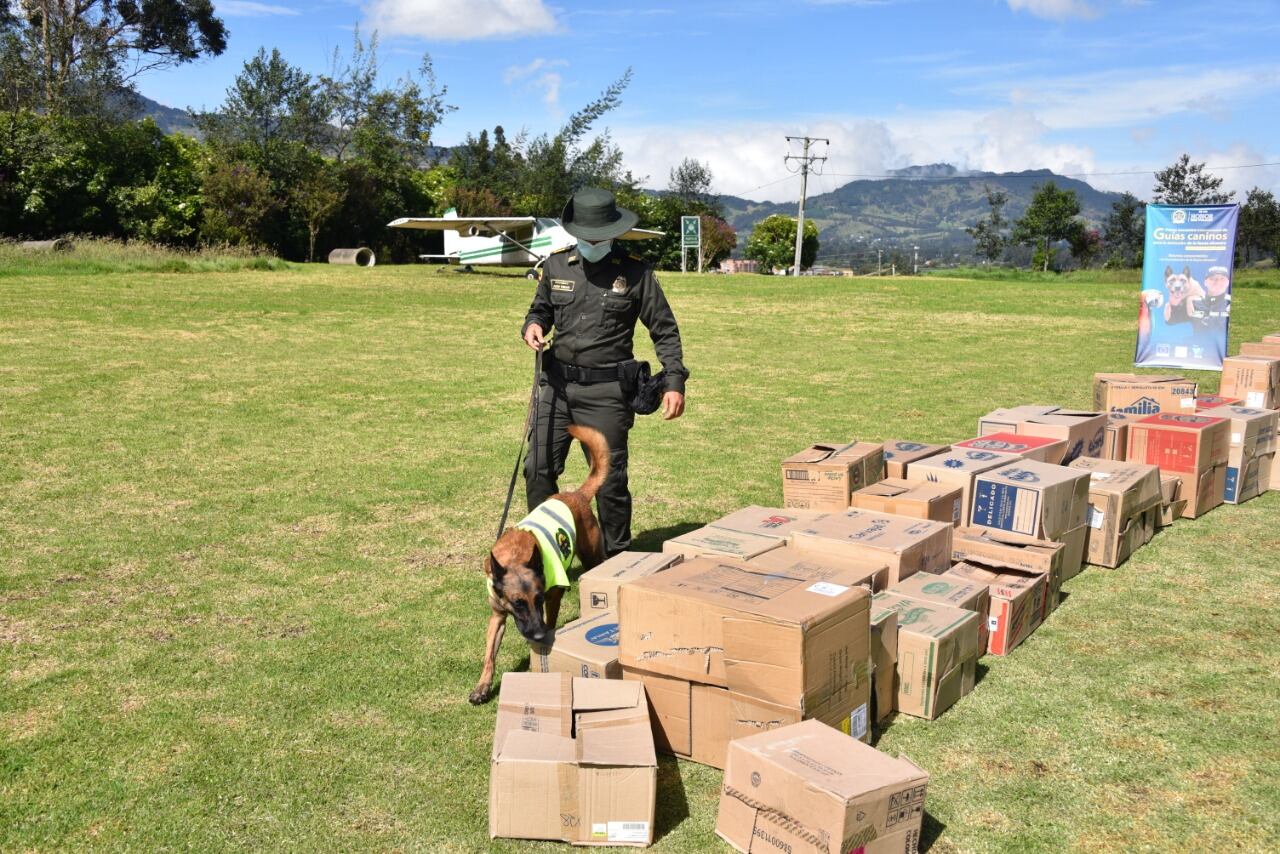 Policía Nacional y sus caninos