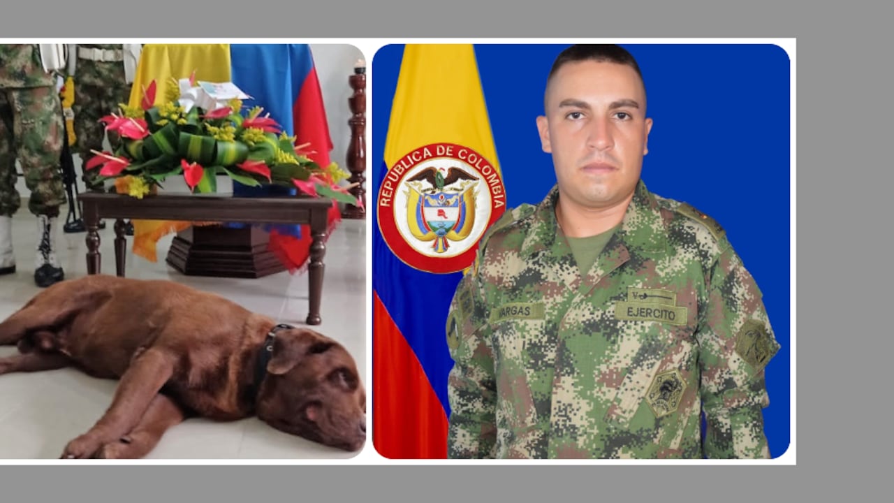 El soldado Andrés Vargas falleció y Rocki, su perro nunca se separó de él
