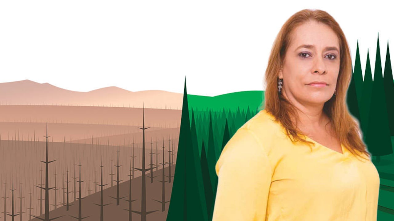 Olga Lucía Ibarra, gerente financiera de Proplas