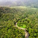 El proyecto del Banco Popular con Amazonía Emprende consiste en la siembra de 3.316 árboles en la Escuela Bosque, un área de casi 30 hectáreas en Florencia, Caquetá.