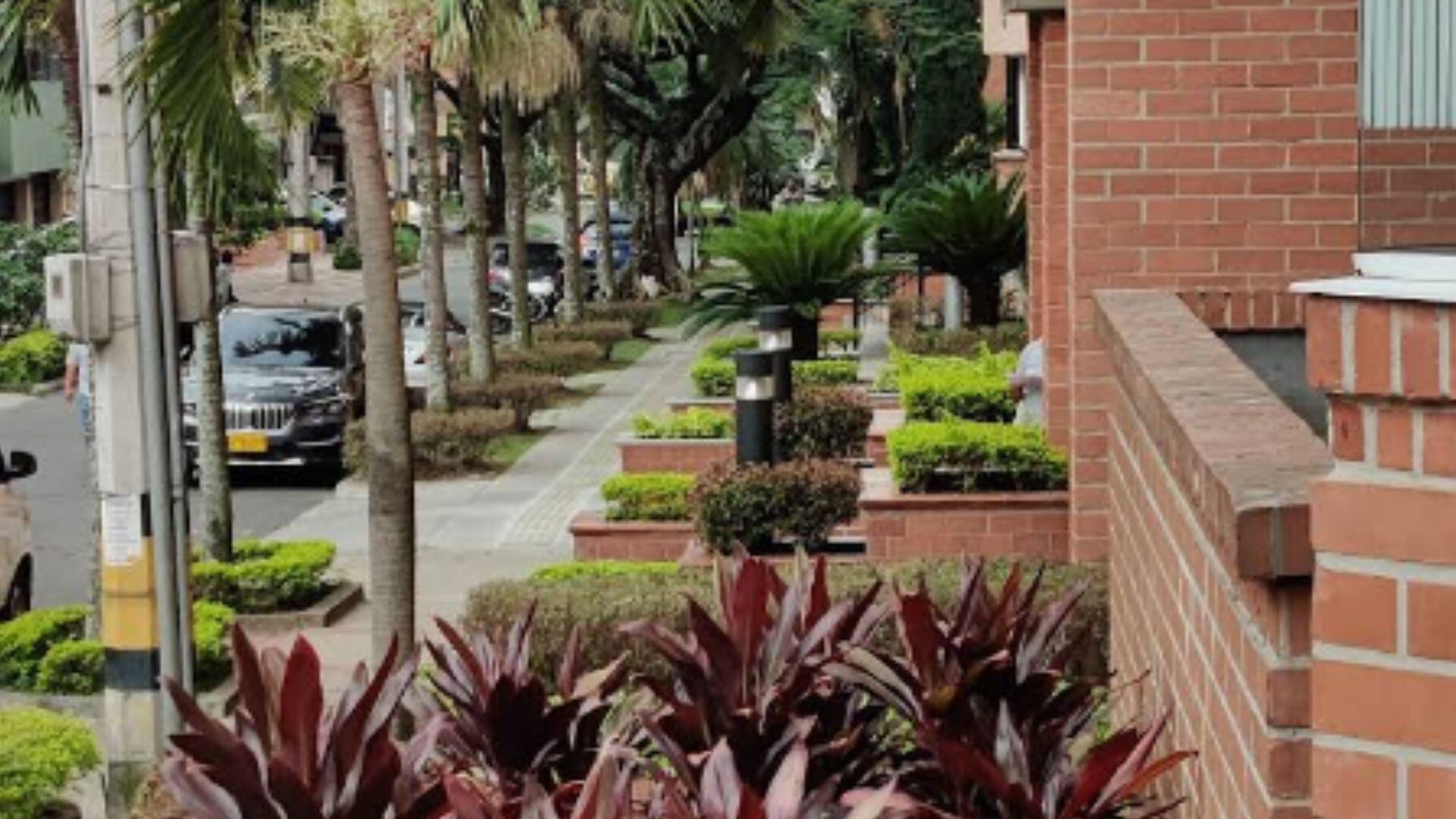 Vista de Laureles, uno de los barrios tradicionales de Medellín con alta valorización inmobiliaria y cánones de arriendo superiores al promedio de la ciudad.