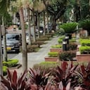 Vista de Laureles, uno de los barrios tradicionales de Medellín con alta valorización inmobiliaria y cánones de arriendo superiores al promedio de la ciudad.