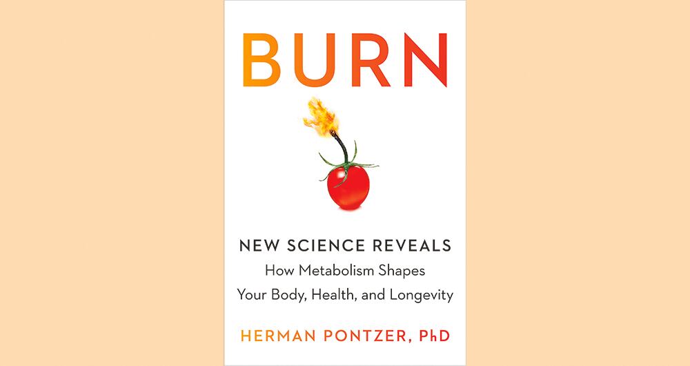 El escritor concluye que el organismo es tan evolucionado que hace difícil deshacerse de los kilos de más.