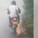 Maltrato animal en Risaralda