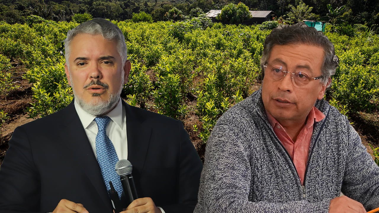Ivan Duque Gustavo Petro Cultivo coca