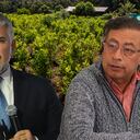 Ivan Duque Gustavo Petro Cultivo coca