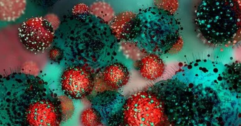 La mayoría de las mutaciones del coronavirus no tiene consecuencias sobre el curso de la pandemia. BBC - SHUTTERSTOCK