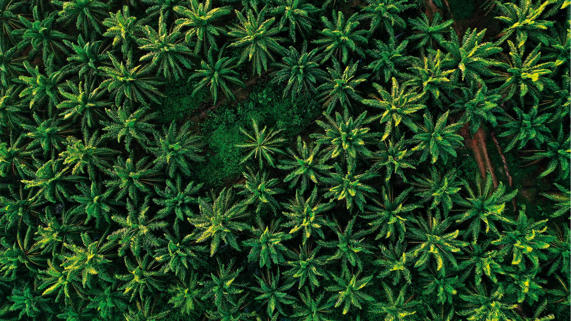 NO USAR, USO EXCLUSIVO MEJOR COLOMBIA, Especial Mejor Colombia, Sectores