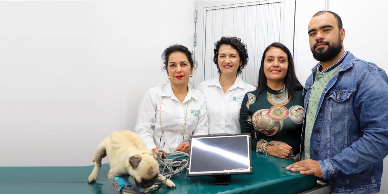 El invento le abre puertas de experiencia a los futuros veterinarios y estudiantes de carreras afines.