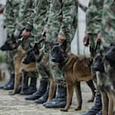 En la Escuela de Logística, al sur de la capital del país, se entrenan los perros de búsqueda y rescate del Ejército Nacional.