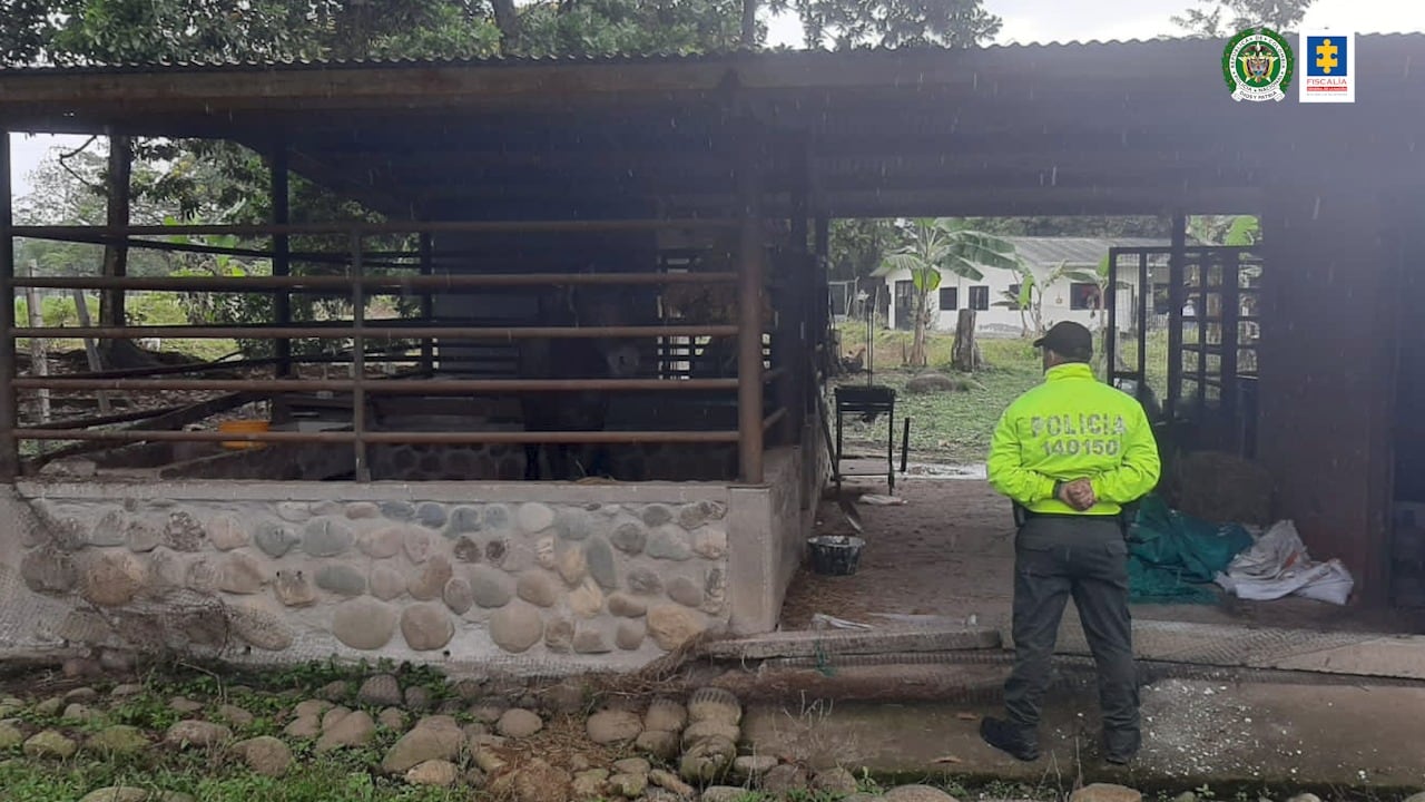 Le quitaron los bienes al exparamilitar que “vacunaba” a los narcos. José Vicente Rivera, alias Soldado, fue un desmovilizado de las AUC y lo asesinaron en abril de 2020 en el departamento del Meta.