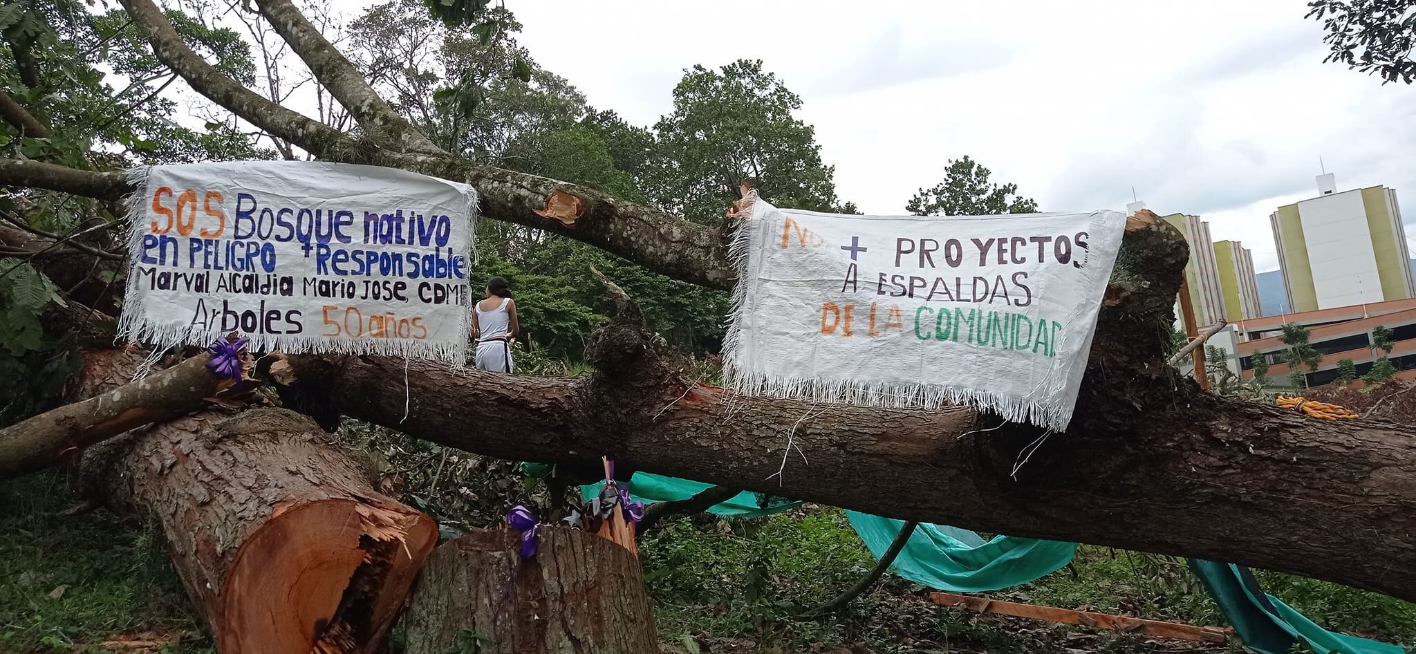 La constructora asegura tener todos los permisos.