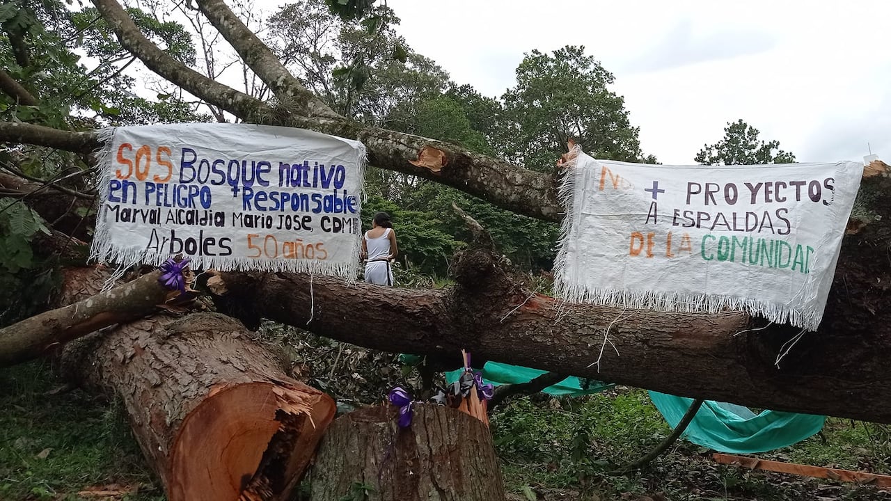 La constructora asegura tener todos los permisos.