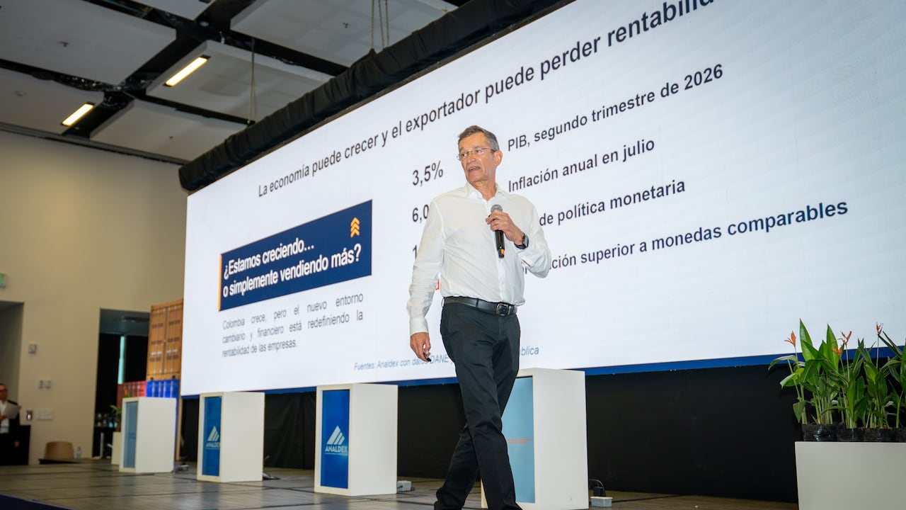Javier Díaz, presidente de Analdex.