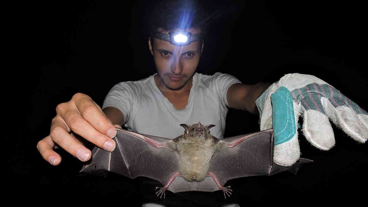 Fotos: Rafael Agudelo.