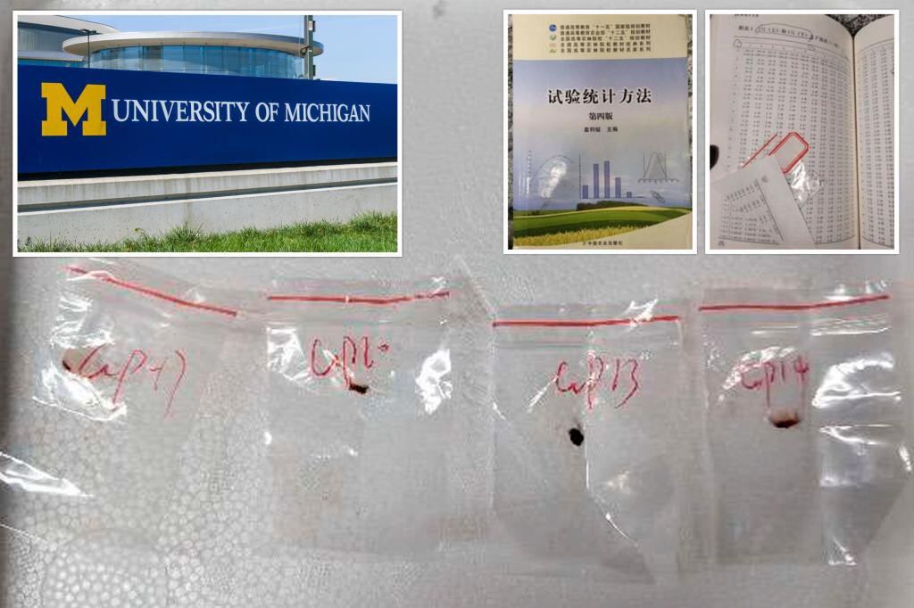 El hongo fue descubierto por autoridades norteamericanas