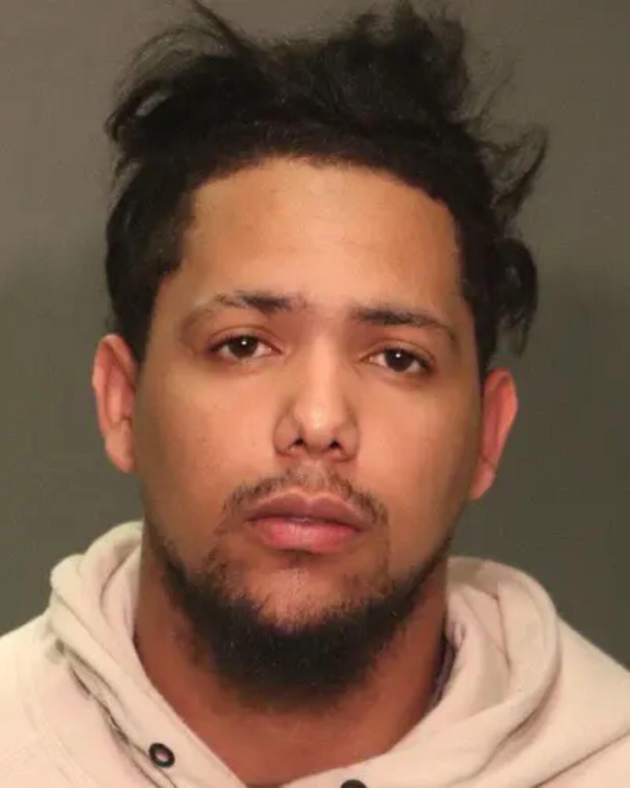 Miguel Francisco Mora Núñez, un ciudadano dominicano de 21 años con un largo historial criminal en Nueva York