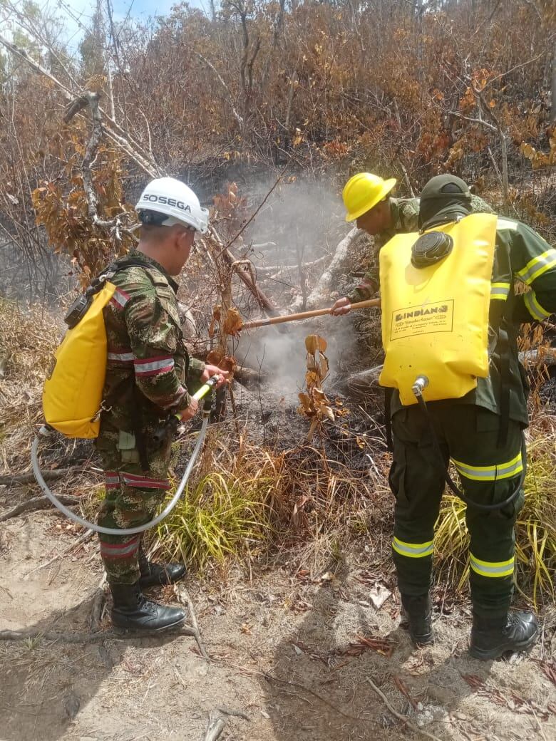 Los refuerzos que han llegado a la isla fueron clave para controlar la emergencia