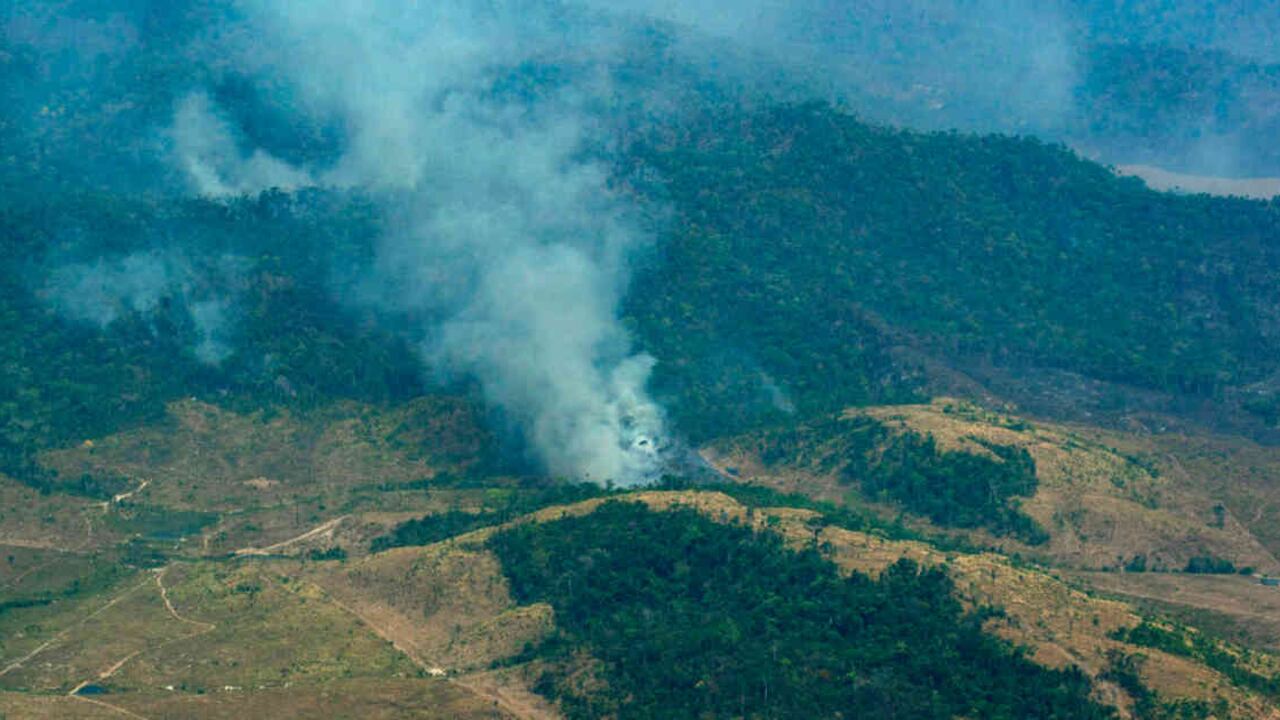 Es necesario detener la destrucción de la naturaleza para combatir el cambio climático. Foto: AP