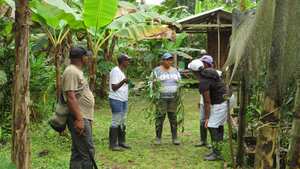 En las selvas colombianas como las de Chocó y Amazonas, y en los valles interandinos se han descubierto 20 especies de vainilla.