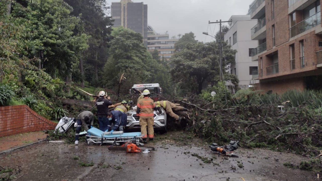 El árbol cayó en la carrera 7 A con calle 90, de la localidad de Chapinero, afectando una camioneta que pasaba por el lugar.