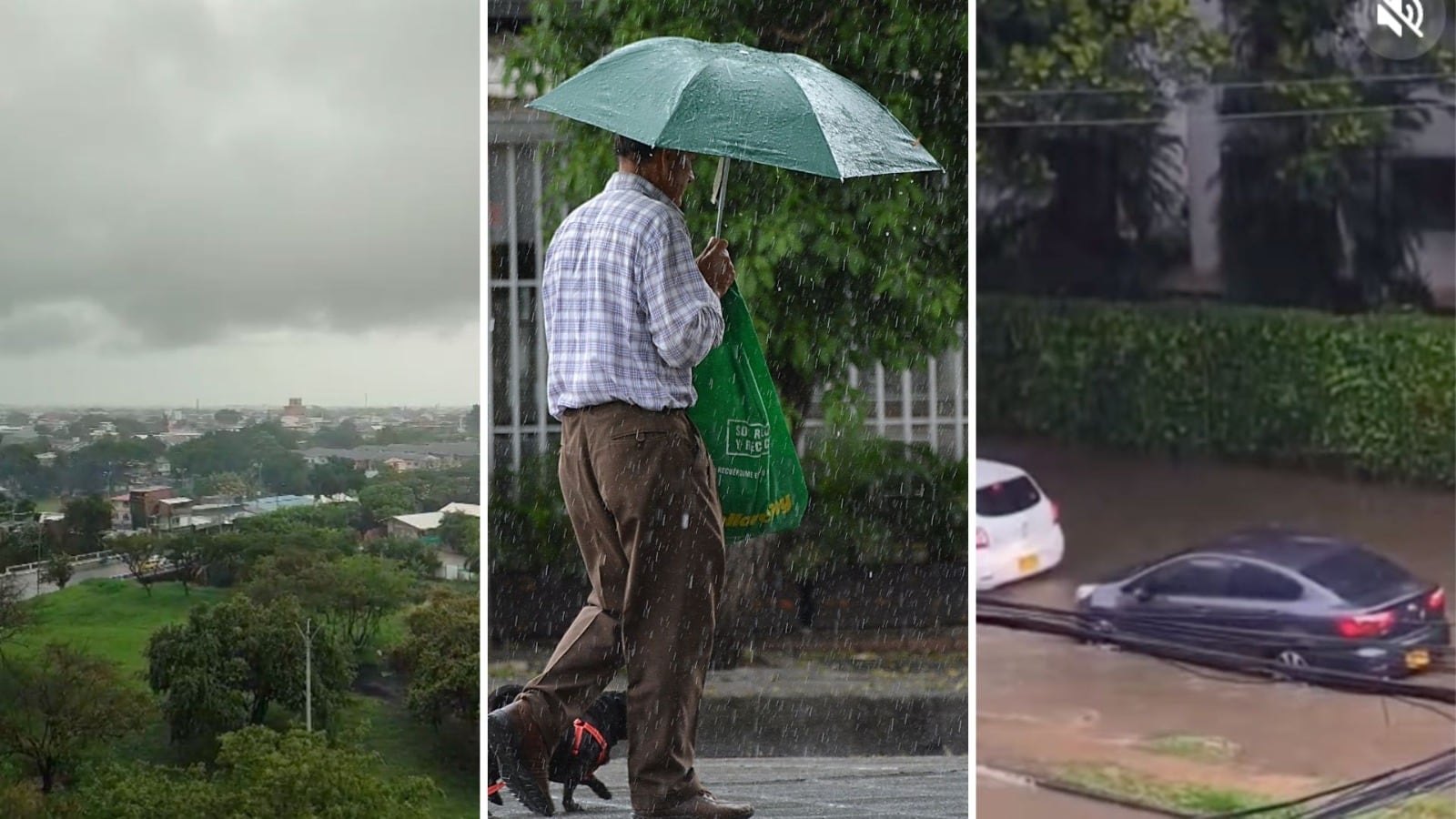 Durante la tarde de este domingo, 1 de febrero, se registraron intensas lluvias en distintos puntos de Cali