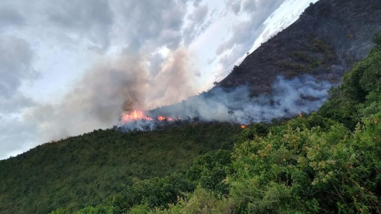 Emergencia en Yotoco, Valle: un incendio acabó con más de 100 hectáreas de reserva forestal.