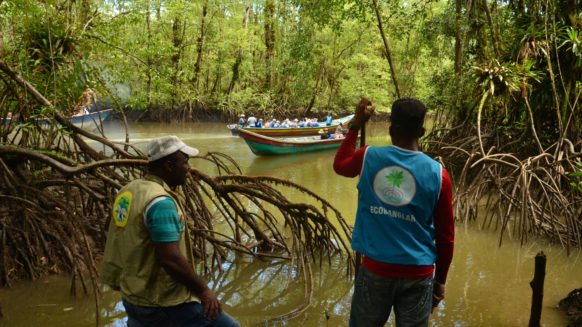 Taller de campo sobre Palmas.