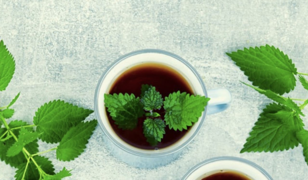 Tomarla en infusión es una de las mejores formas para consumirla