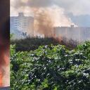 Según informaron las autoridades, los incendios no dejaron ningún lesionado.