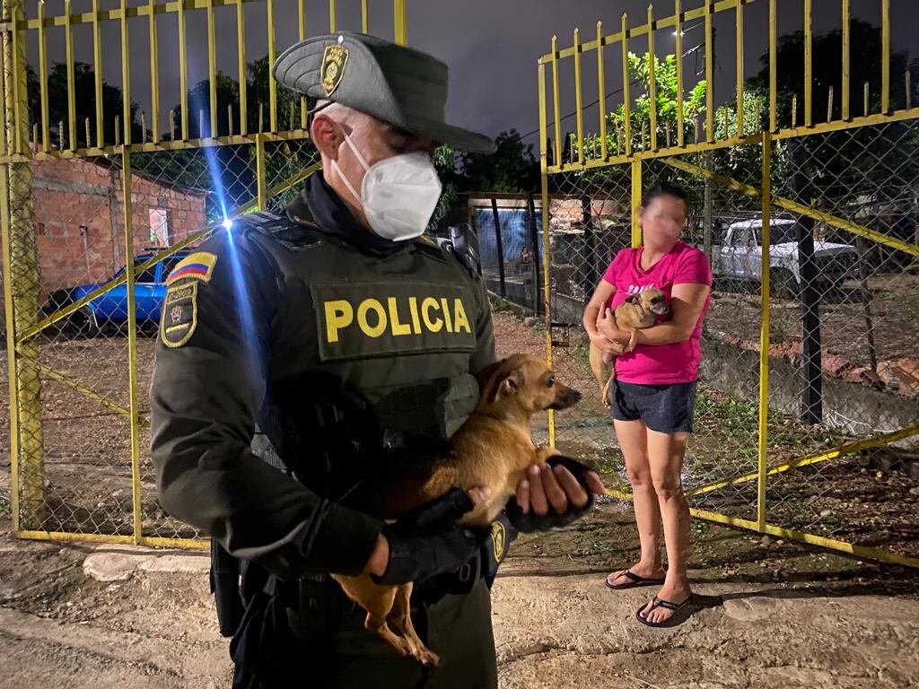 La perrita Luna fue maltratada en un barrio de Cúcuta