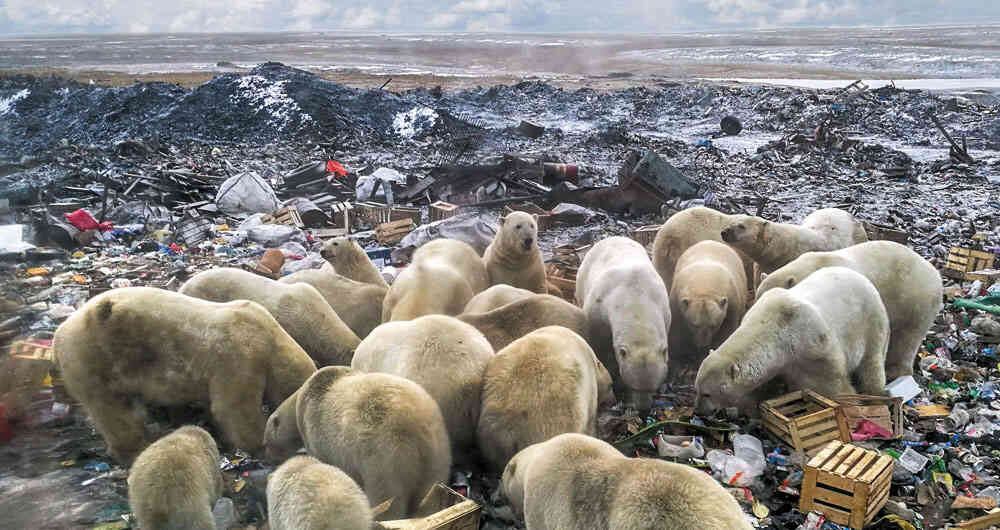 “Este espectáculo grotesco es una de las muchas manifestaciones del cambio climático”, escribe Antonio Caballero. Foto: Alexander Grip/AFP