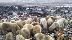 “Este espectáculo grotesco es una de las muchas manifestaciones del cambio climático”, escribe Antonio Caballero. Foto: Alexander Grip/AFP