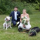 Imagen Facebook VCA VETERINARY EMERGENCY SERVICE & VETERINARY SPECIALTY CENTER