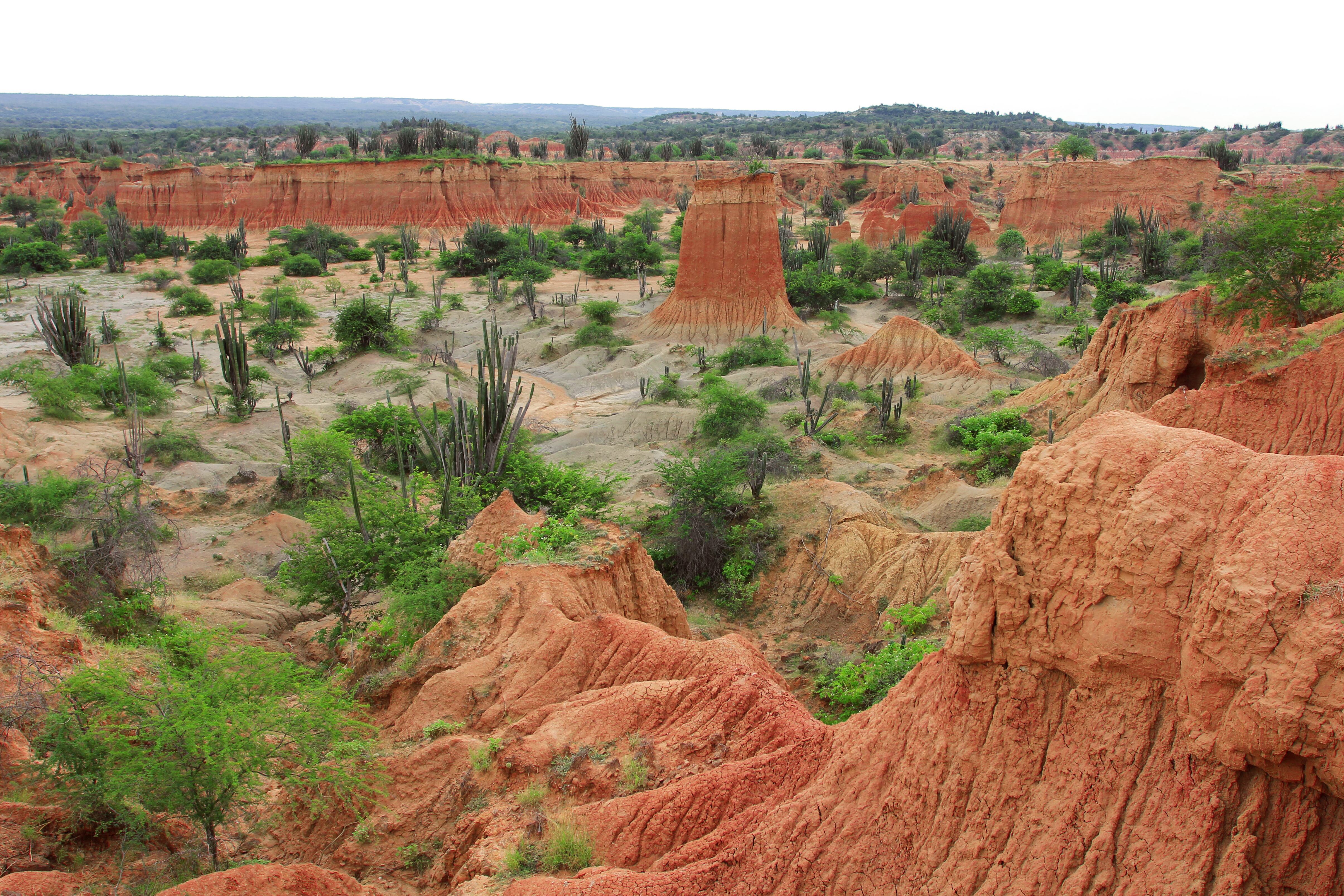 Desierto de la Tatacoa