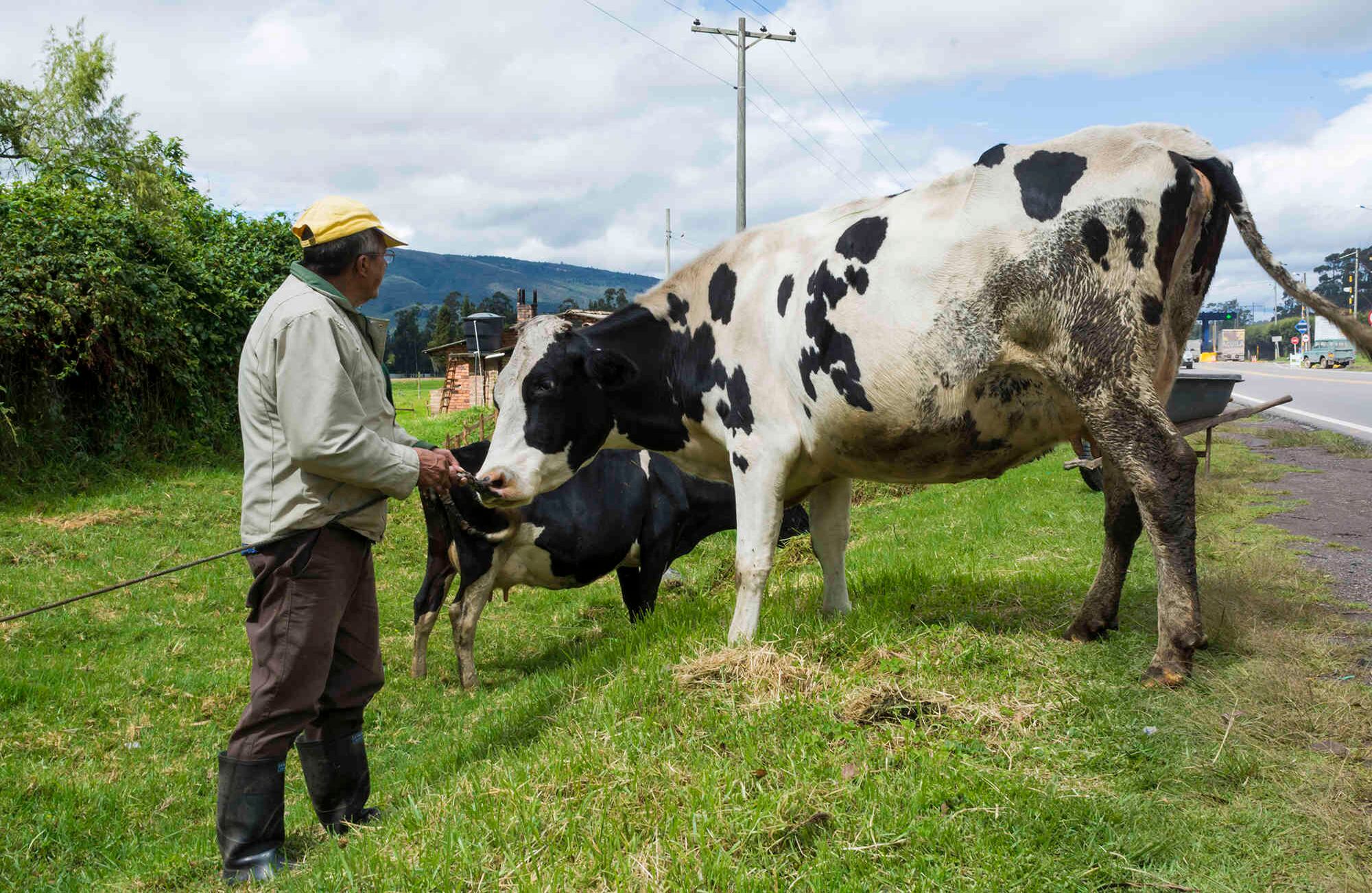 Foto: Gabriel González C. | Semana