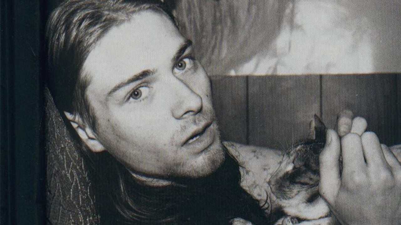 los gatos de los famosos